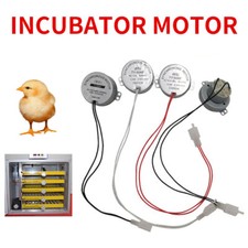 Automatische Brutmaschine